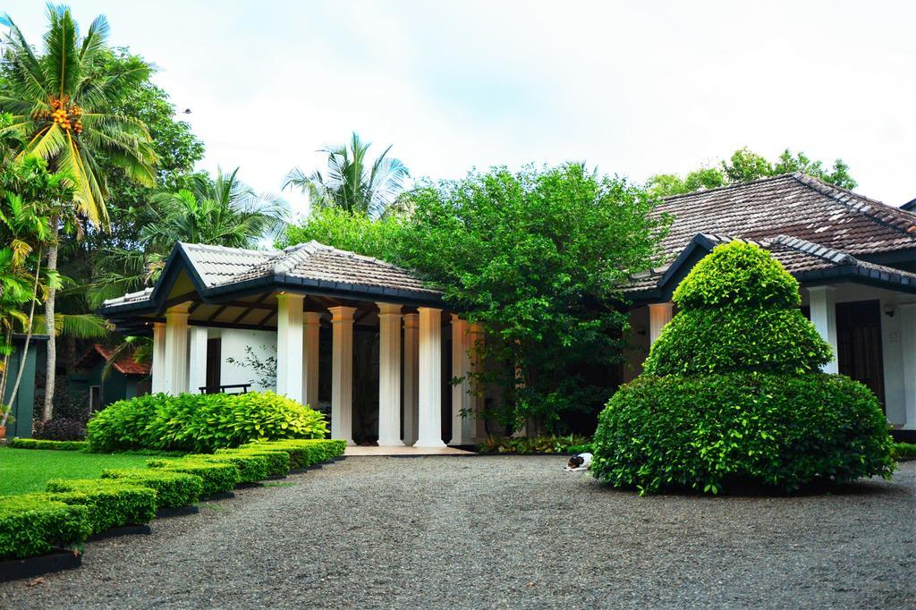 Camellia Dwelling Bed & Breakfast ฮิกคาดูวา ภายนอก รูปภาพ