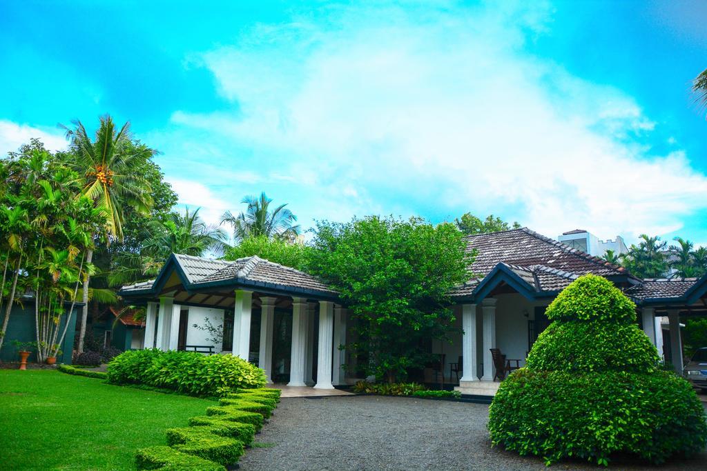 Camellia Dwelling Bed & Breakfast ฮิกคาดูวา ภายนอก รูปภาพ