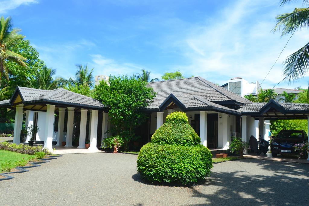 Camellia Dwelling Bed & Breakfast ฮิกคาดูวา ภายนอก รูปภาพ