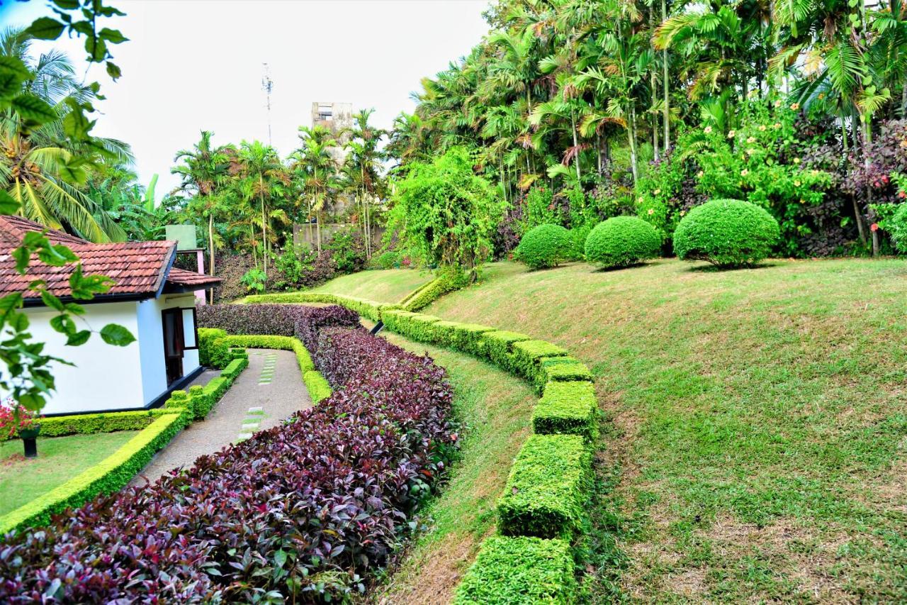 Camellia Dwelling Bed & Breakfast ฮิกคาดูวา ภายนอก รูปภาพ